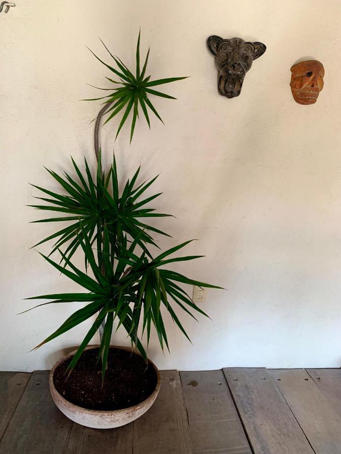 Lo Nuestro Petit Hotel Tulum Luaran gambar